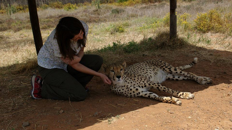 Maria Kennedy at a safari park in the shade petting a cheetah